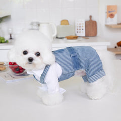 Pet Autumn Winter Striped Patchwork Denim Straps Pet Pants - PeticaDeals