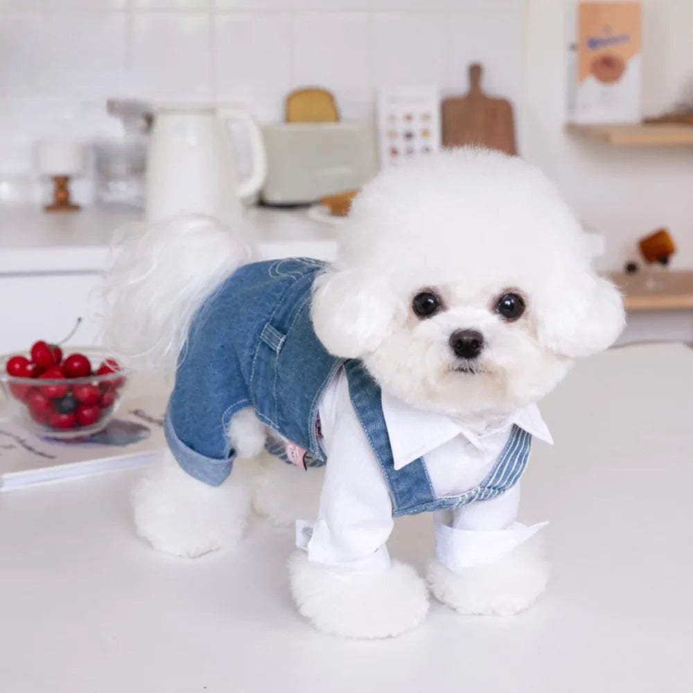 Pet Autumn Winter Striped Patchwork Denim Straps Pet Pants - PeticaDeals