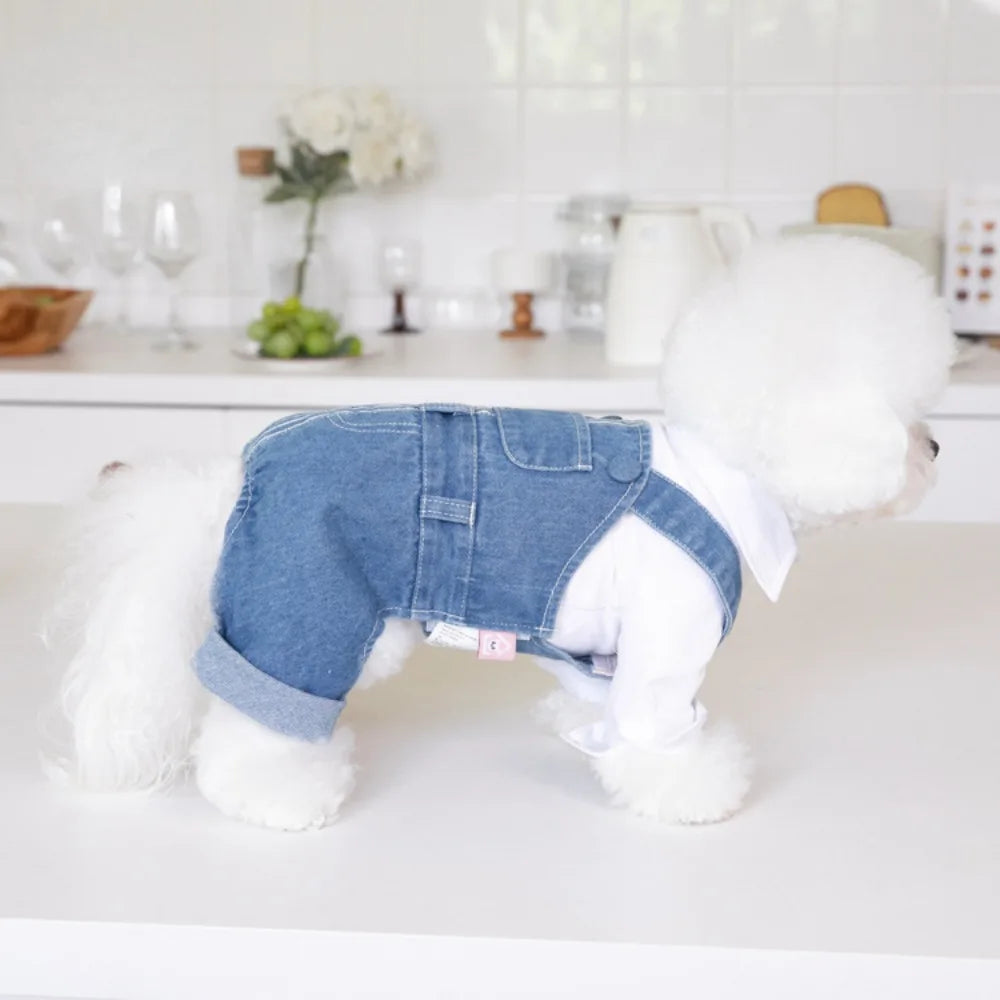 Pet Autumn Winter Striped Patchwork Denim Straps Pet Pants - PeticaDeals