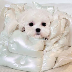 Pet Bag Cat & Dog Soft And Comfortable - PeticaDeals