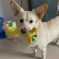 Pet Chew Toys for Small Dogs & Cats - PeticaDeals