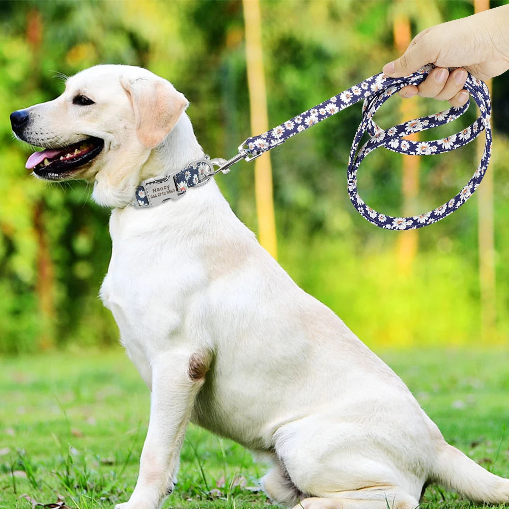 Pet Collar Nylon Dog Puppy Leash Pet - PeticaDeals
