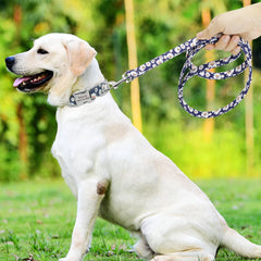 Pet Collar Nylon Dog Puppy Leash Pet - PeticaDeals
