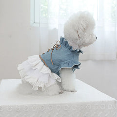 Pet Cowboy Coat for Dogs & Cats - PeticaDeals