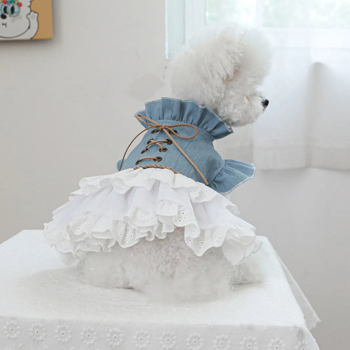 Pet Cowboy Coat for Dogs & Cats - PeticaDeals