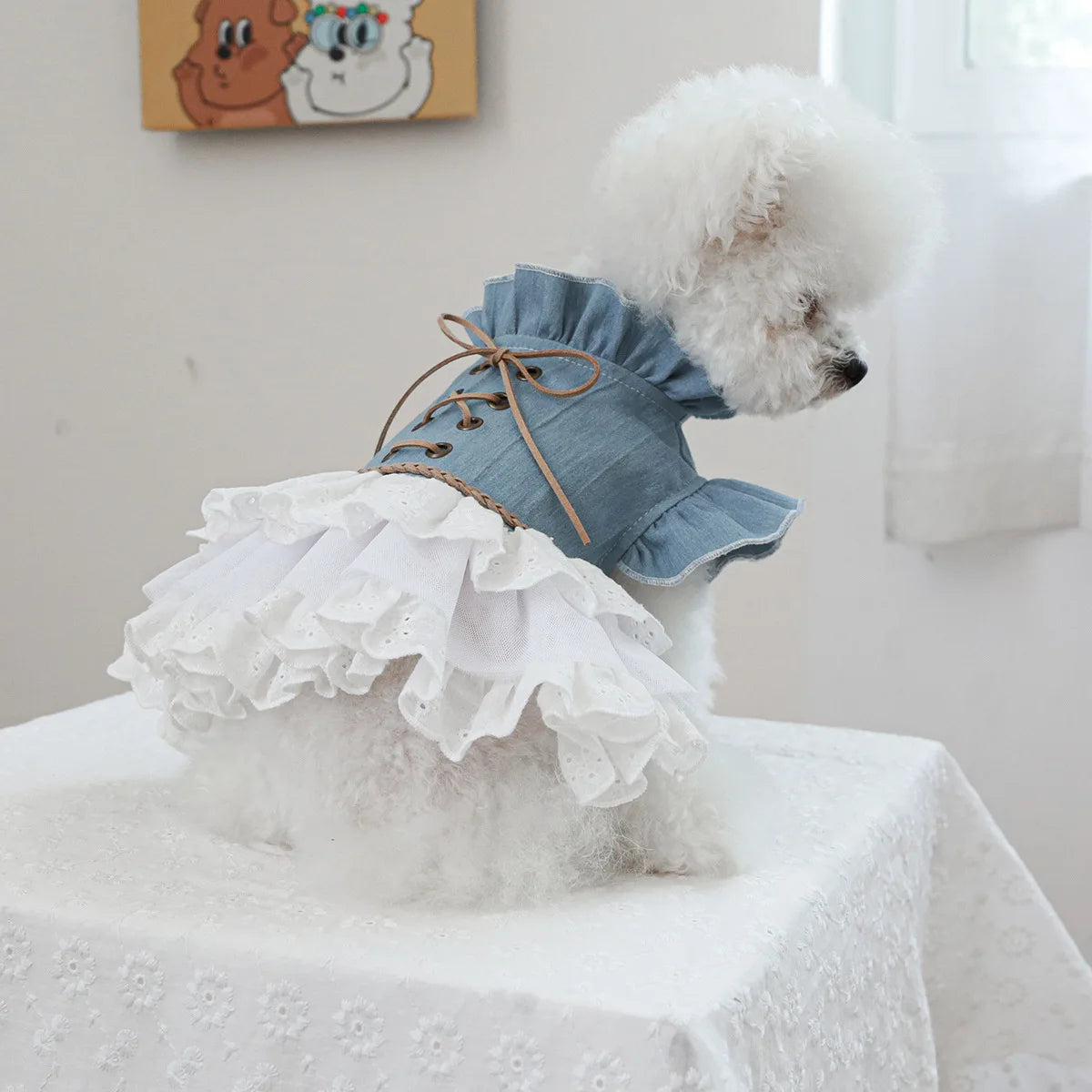 Pet Cowboy Coat for Dogs & Cats - PeticaDeals