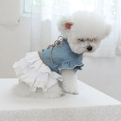 Pet Cowboy Coat for Dogs & Cats - PeticaDeals