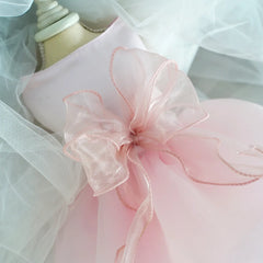 Pet Cute Princess Dress - PeticaDeals