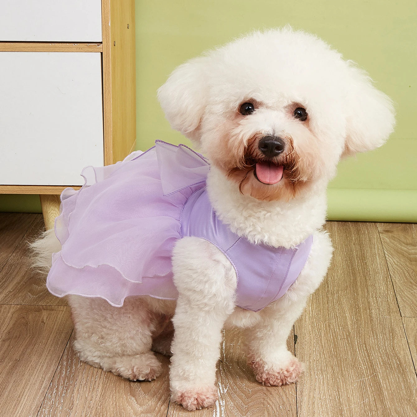 Pet Cute Princess Dress - PeticaDeals
