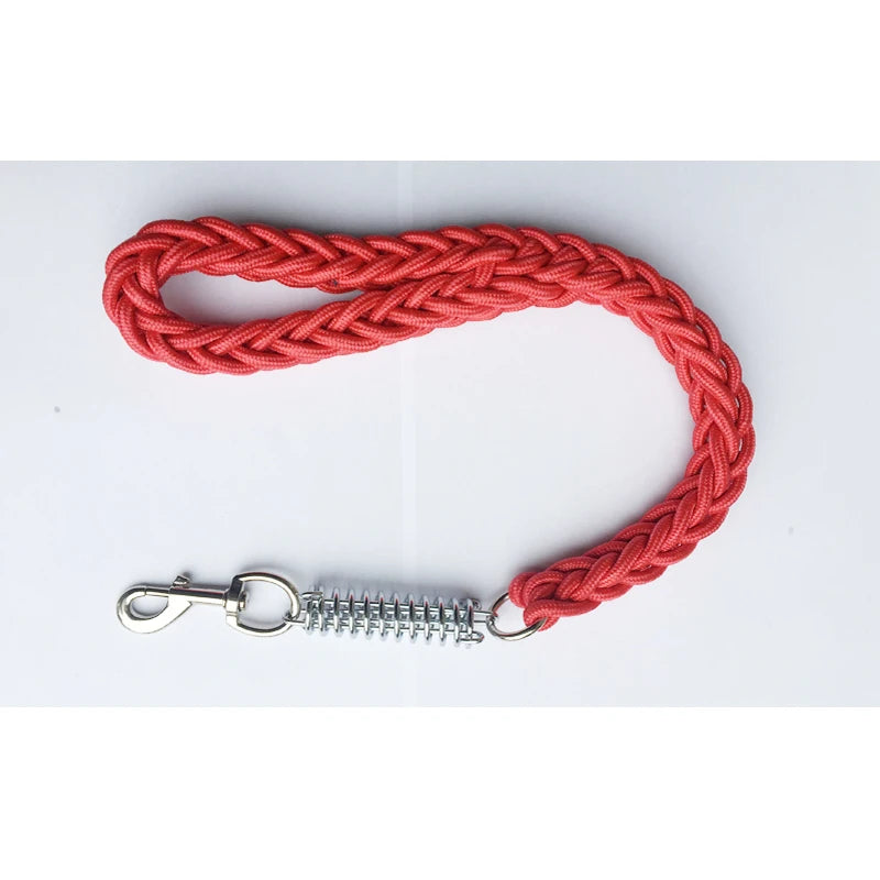 Pet Dog Lead Leash Walking Jogging Outdoor Training - PeticaDeals