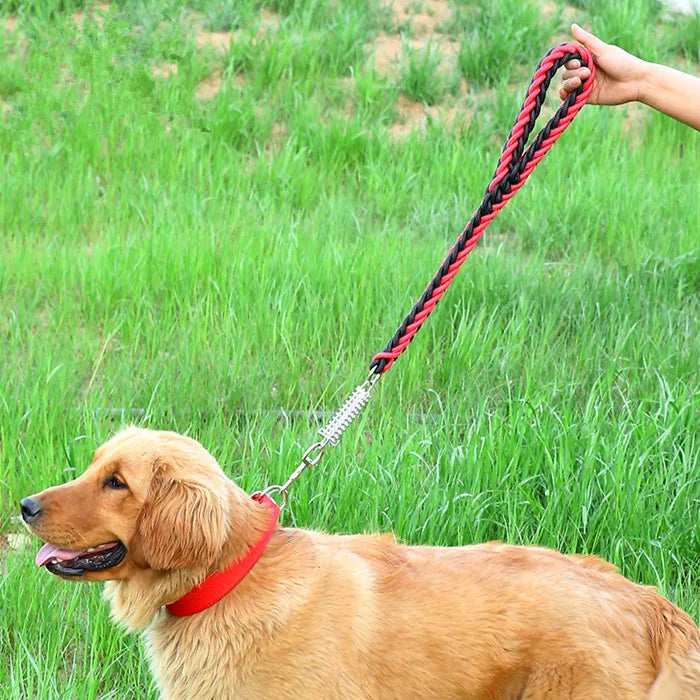 Pet Dog Lead Leash Walking Jogging Outdoor Training - PeticaDeals