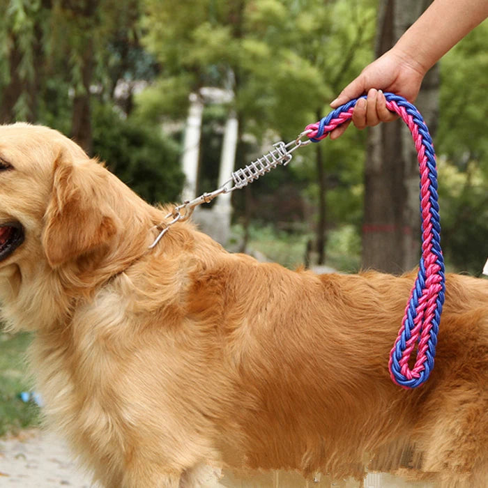 Pet Dog Lead Leash Walking Jogging Outdoor Training - PeticaDeals