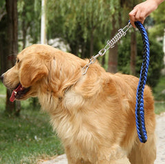 Pet Dog Lead Leash Walking Jogging Outdoor Training - PeticaDeals