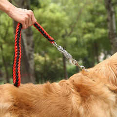 Pet Dog Lead Leash Walking Jogging Outdoor Training - PeticaDeals