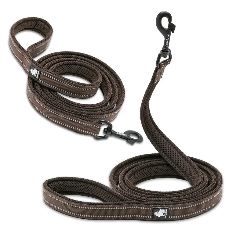 Pet Dog Leash Reflective Nylon Webbing Zinc Alloy Hook Suitable For Small And Large Dogs - PeticaDeals
