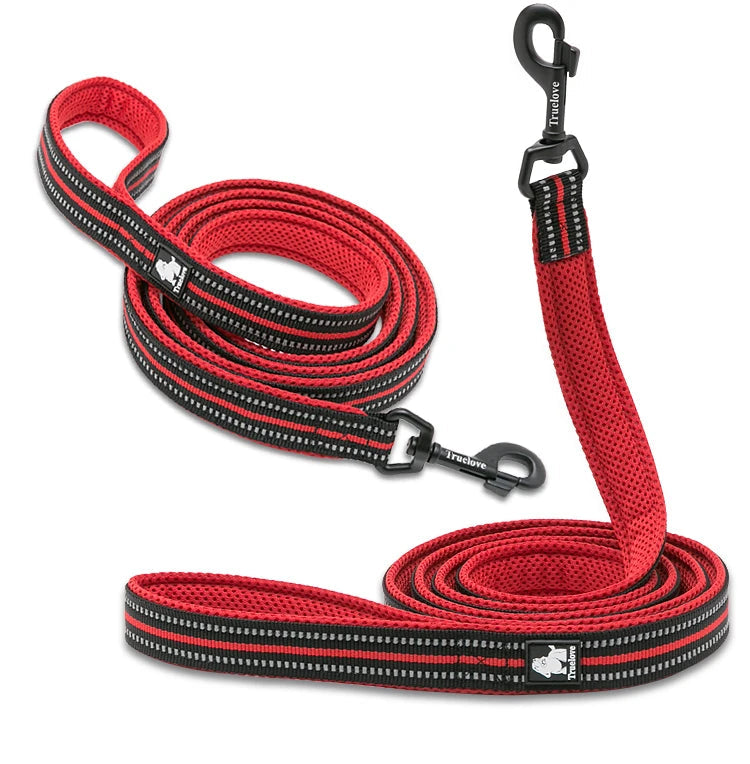 Pet Dog Leash Reflective Nylon Webbing Zinc Alloy Hook Suitable For Small And Large Dogs - PeticaDeals