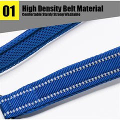Pet Dog Leash Reflective Nylon Webbing Zinc Alloy Hook Suitable For Small And Large Dogs - PeticaDeals