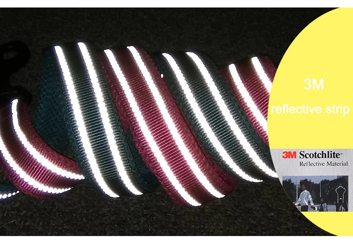 Pet Dog Leash Reflective Nylon Webbing Zinc Alloy Hook Suitable For Small And Large Dogs - PeticaDeals