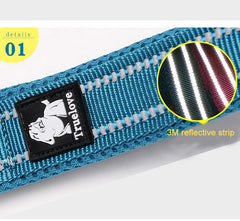 Pet Dog Leash Reflective Nylon Webbing Zinc Alloy Hook Suitable For Small And Large Dogs - PeticaDeals