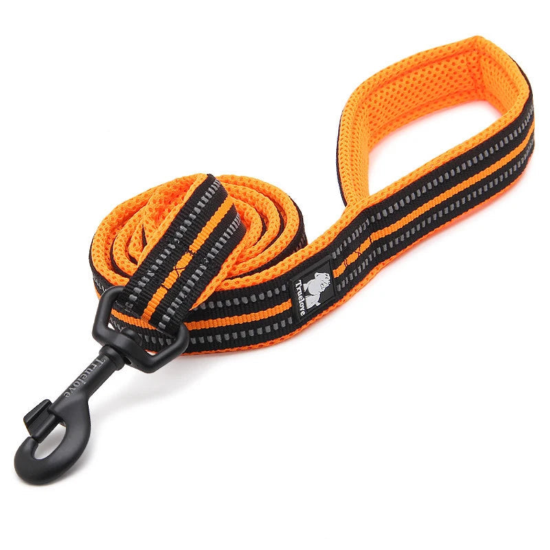 Pet Dog Leash Reflective Nylon Webbing Zinc Alloy Hook Suitable For Small And Large Dogs - PeticaDeals