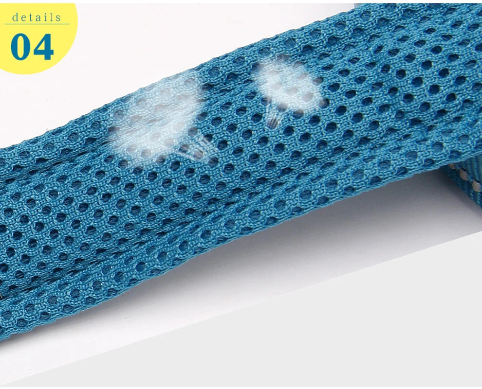 Pet Dog Leash Reflective Nylon Webbing Zinc Alloy Hook Suitable For Small And Large Dogs - PeticaDeals