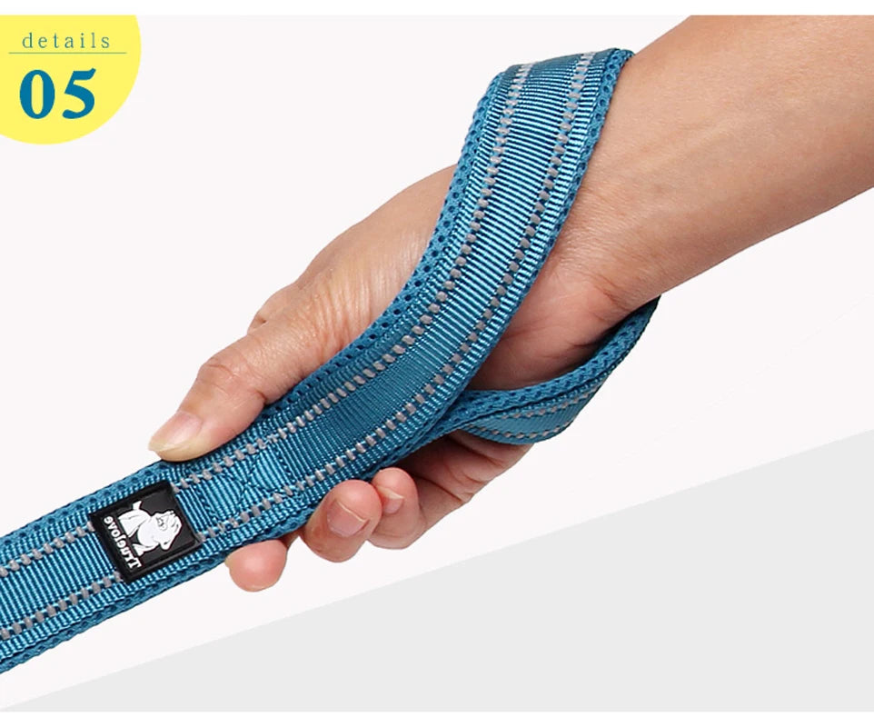 Pet Dog Leash Reflective Nylon Webbing Zinc Alloy Hook Suitable For Small And Large Dogs - PeticaDeals