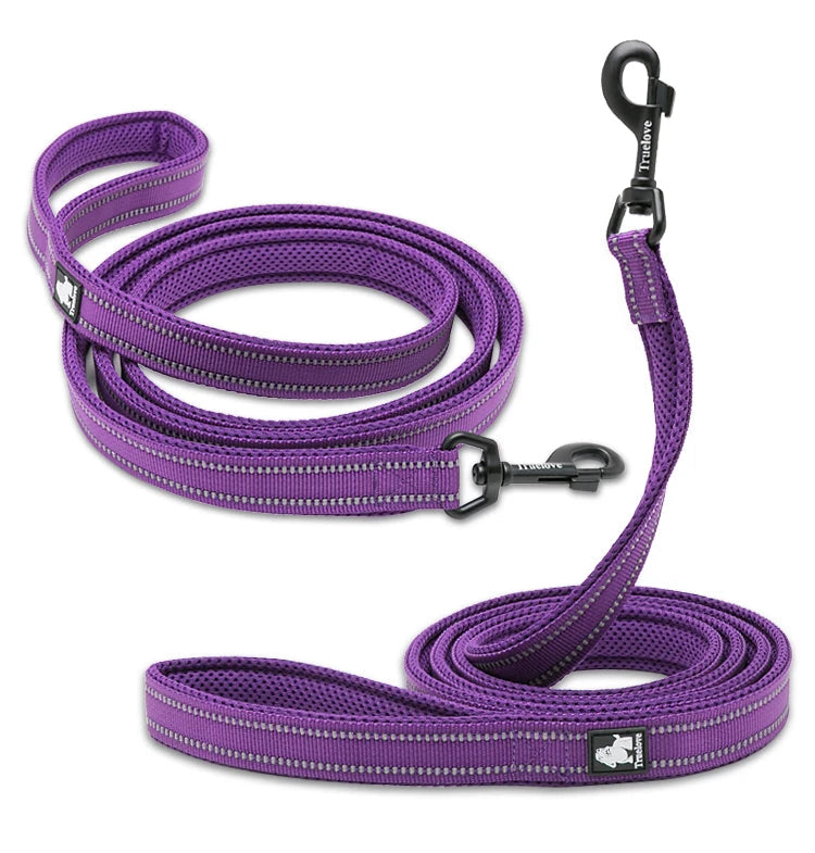 Pet Dog Leash Reflective Nylon Webbing Zinc Alloy Hook Suitable For Small And Large Dogs - PeticaDeals