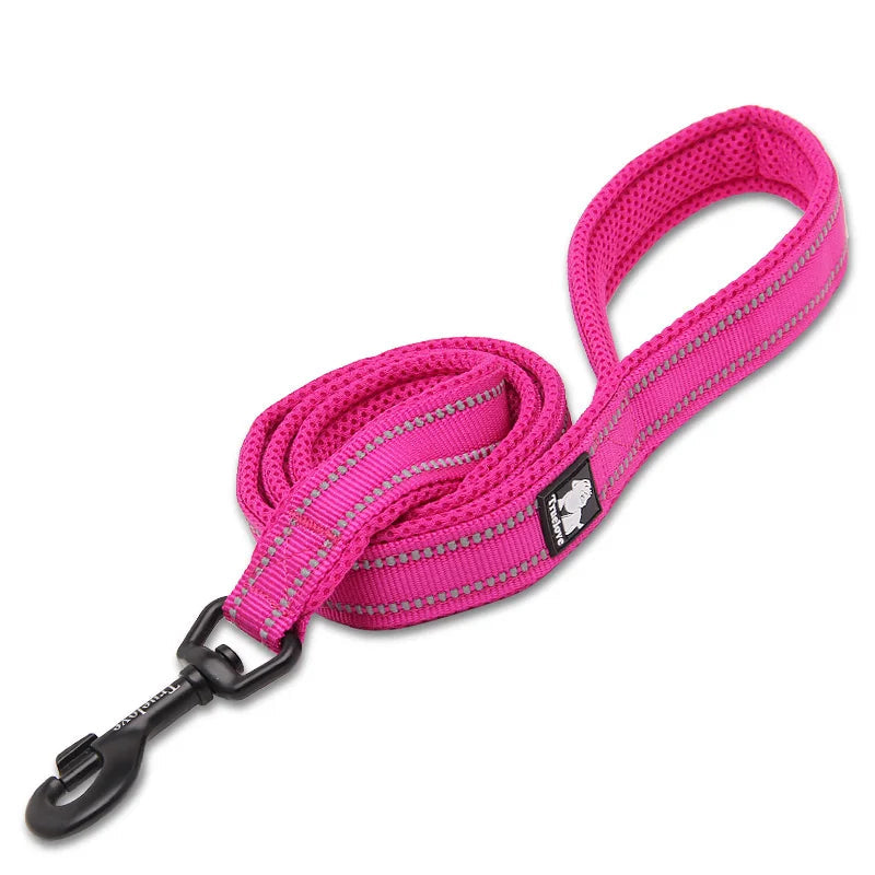 Pet Dog Leash Reflective Nylon Webbing Zinc Alloy Hook Suitable For Small And Large Dogs - PeticaDeals