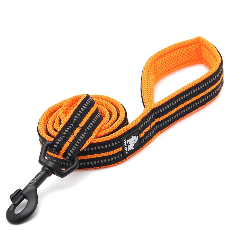 Pet Dog Leash Reflective Nylon Webbing Zinc Alloy Hook Suitable For Small And Large Dogs - PeticaDeals