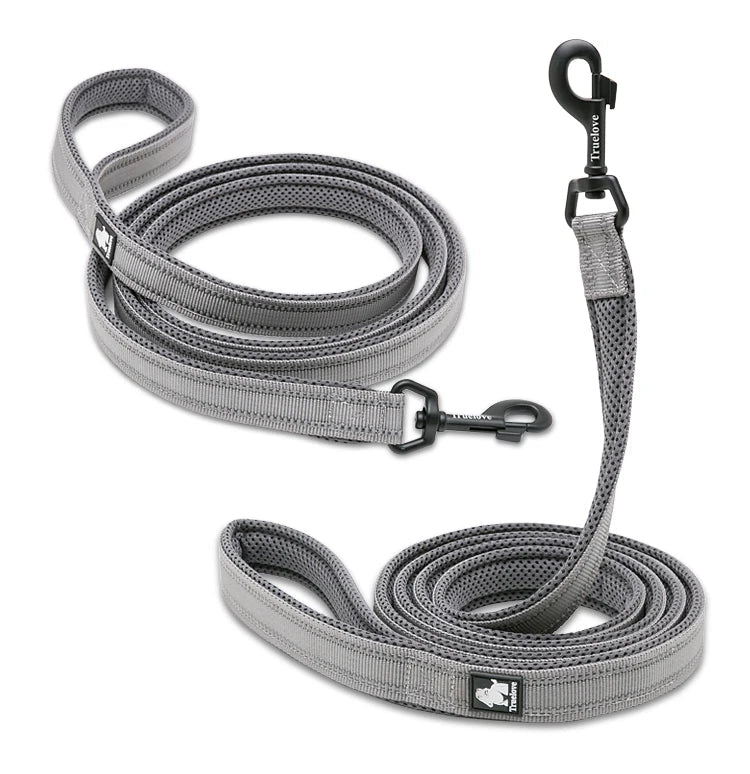 Pet Dog Leash Reflective Nylon Webbing Zinc Alloy Hook Suitable For Small And Large Dogs - PeticaDeals