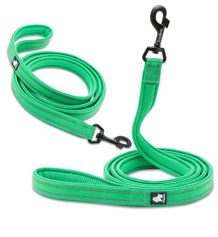 Pet Dog Leash Reflective Nylon Webbing Zinc Alloy Hook Suitable For Small And Large Dogs - PeticaDeals