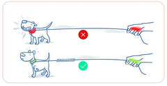 Pet Dog Leash Stretchable Elastic Buffer Nylon Seat Belt Can be Used with Chest Strap - PeticaDeals