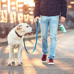 Pet Drinking Water Bowl With Filter - PeticaDeals