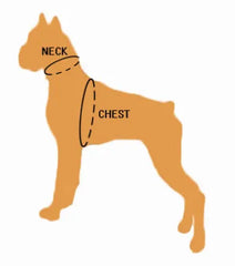 Pet Harness Breathable Mesh Nylon Soft Lightweight Walk Vest - PeticaDeals