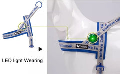 Pet Harness Neoprene Padded 3M Reflective Strips - PeticaDeals