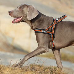 Pet Harness Neoprene Padded 3M Reflective Strips - PeticaDeals