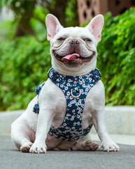 Pet Harness Vest for Big Medium Small Dog - PeticaDeals