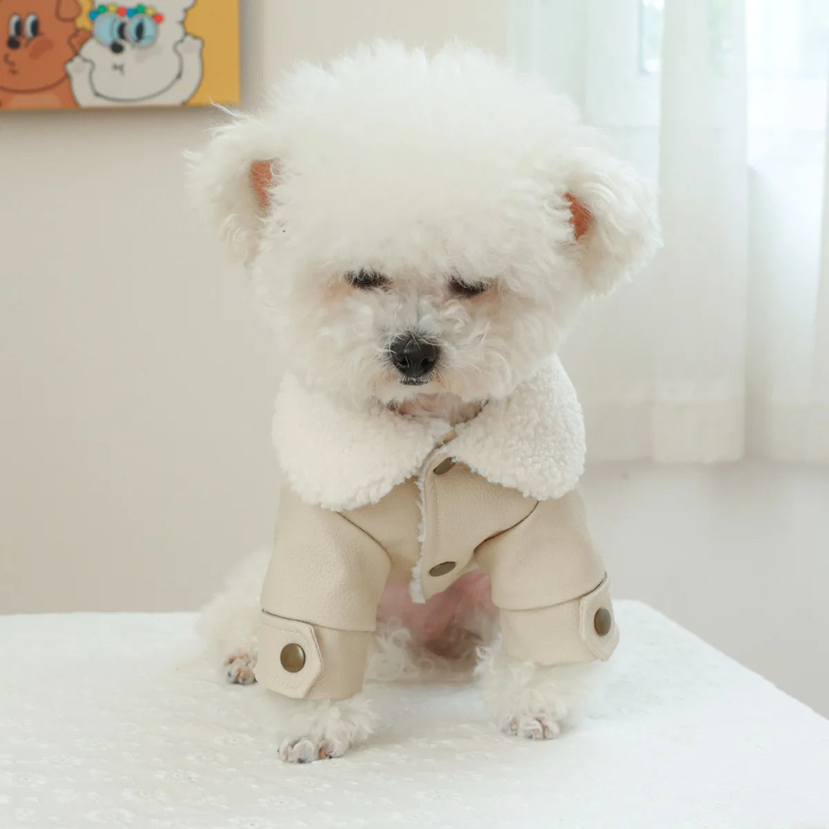 Pet Leather Fur Collar Fur Coat - PeticaDeals