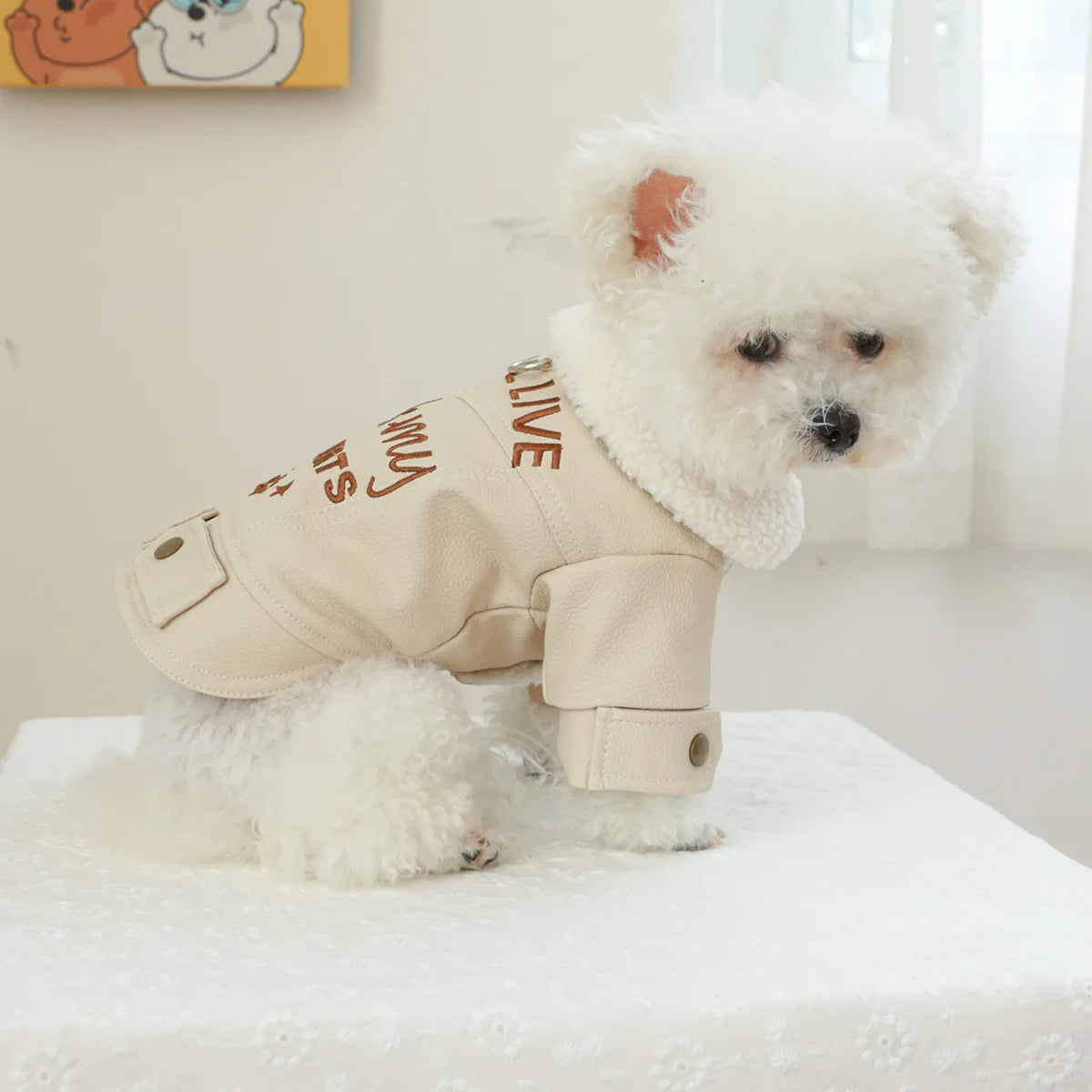 Pet Leather Fur Collar Fur Coat - PeticaDeals