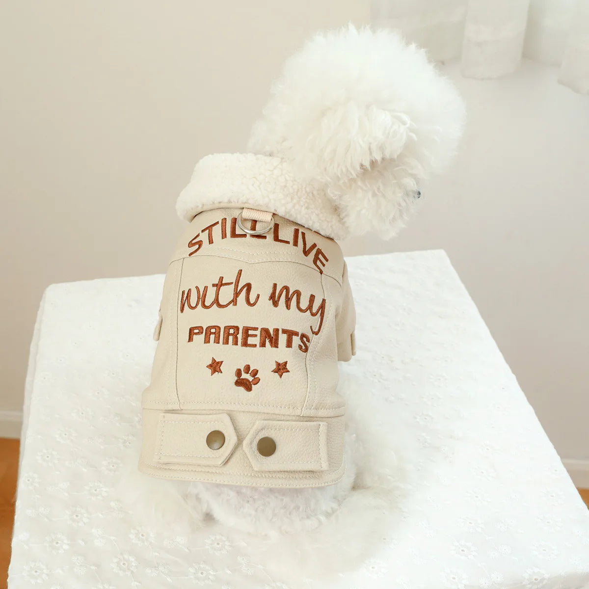 Pet Leather Fur Collar Fur Coat - PeticaDeals