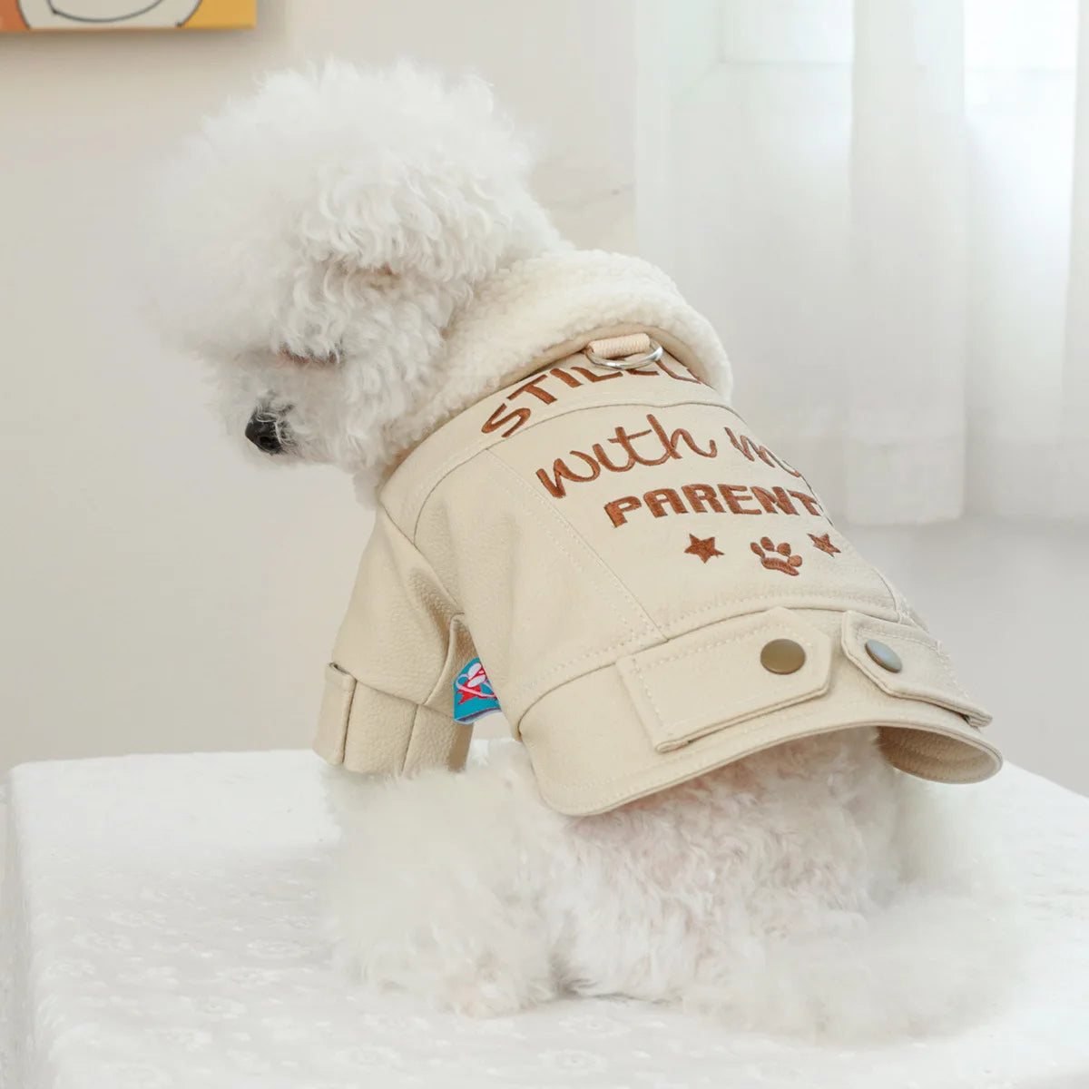 Pet Leather Fur Collar Fur Coat - PeticaDeals