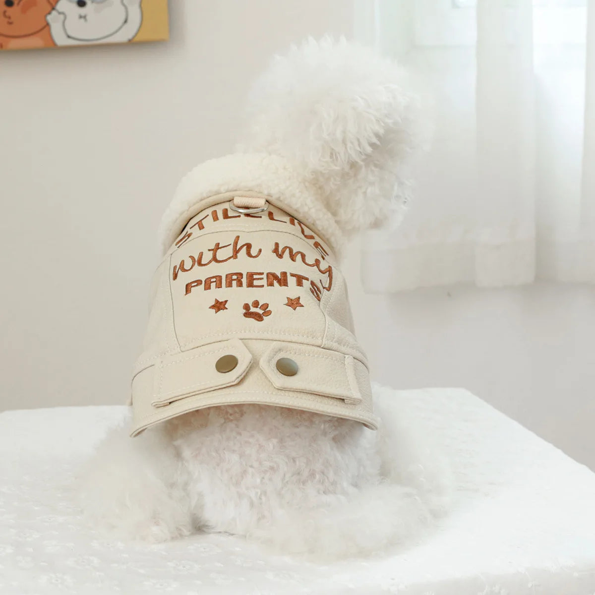 Pet Leather Fur Collar Fur Coat - PeticaDeals