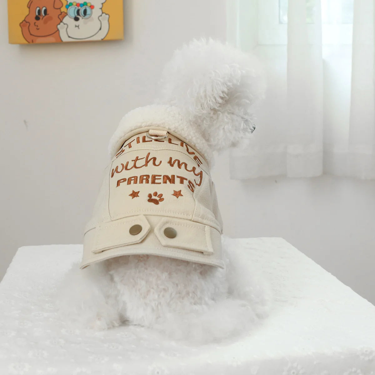 Pet Leather Fur Collar Fur Coat - PeticaDeals