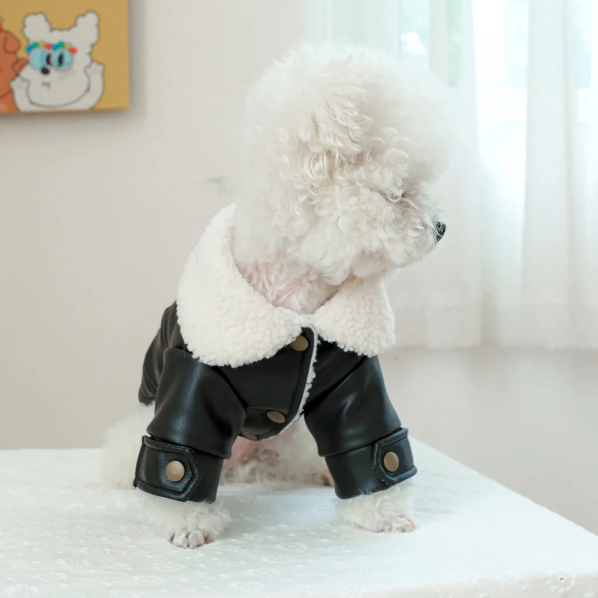 Pet Leather Fur Collar Fur Coat - PeticaDeals