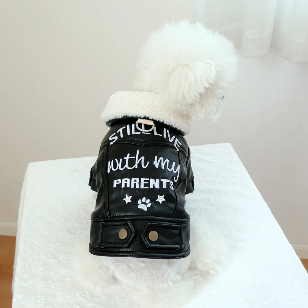 Pet Leather Fur Collar Fur Coat - PeticaDeals