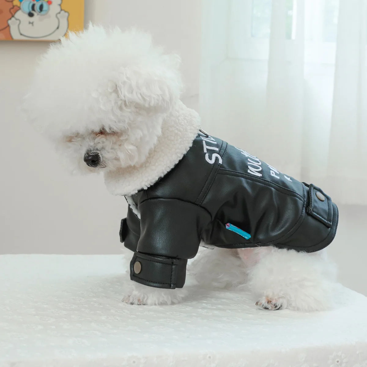 Pet Leather Fur Collar Fur Coat - PeticaDeals