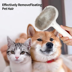Pet Steam Brush Hair Remover Brush Multi-Function Pet Grooming - PeticaDeals