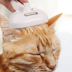 Pet Steam Brush Hair Remover Brush Multi-Function Pet Grooming - PeticaDeals
