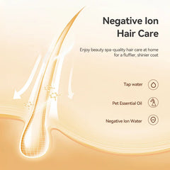 Pet Steam Comb Cat Hair Brush Electric Sprayer Cat Dog Brushes for Massage - PeticaDeals