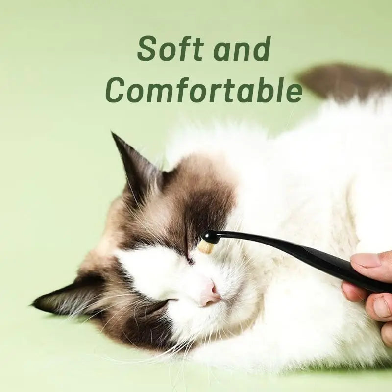 Pet Tear Stain Removal Brush Eye Cleaning Tear Stain Powder Brush Eye Poo Brush - PeticaDeals